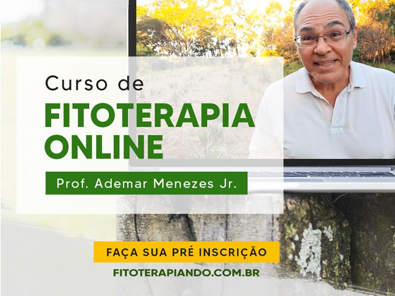 Curso de Fitoterapia Online